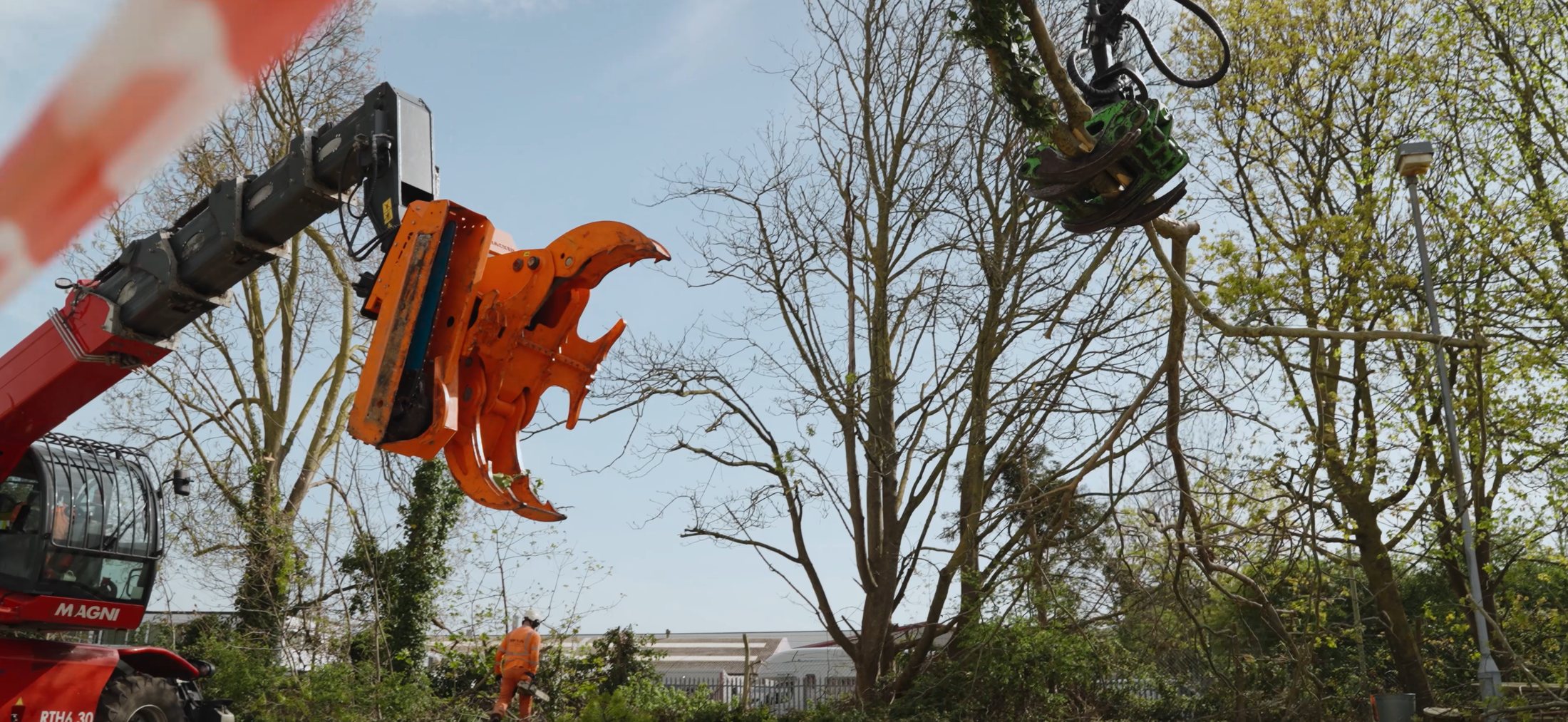 Treetex arborist at work