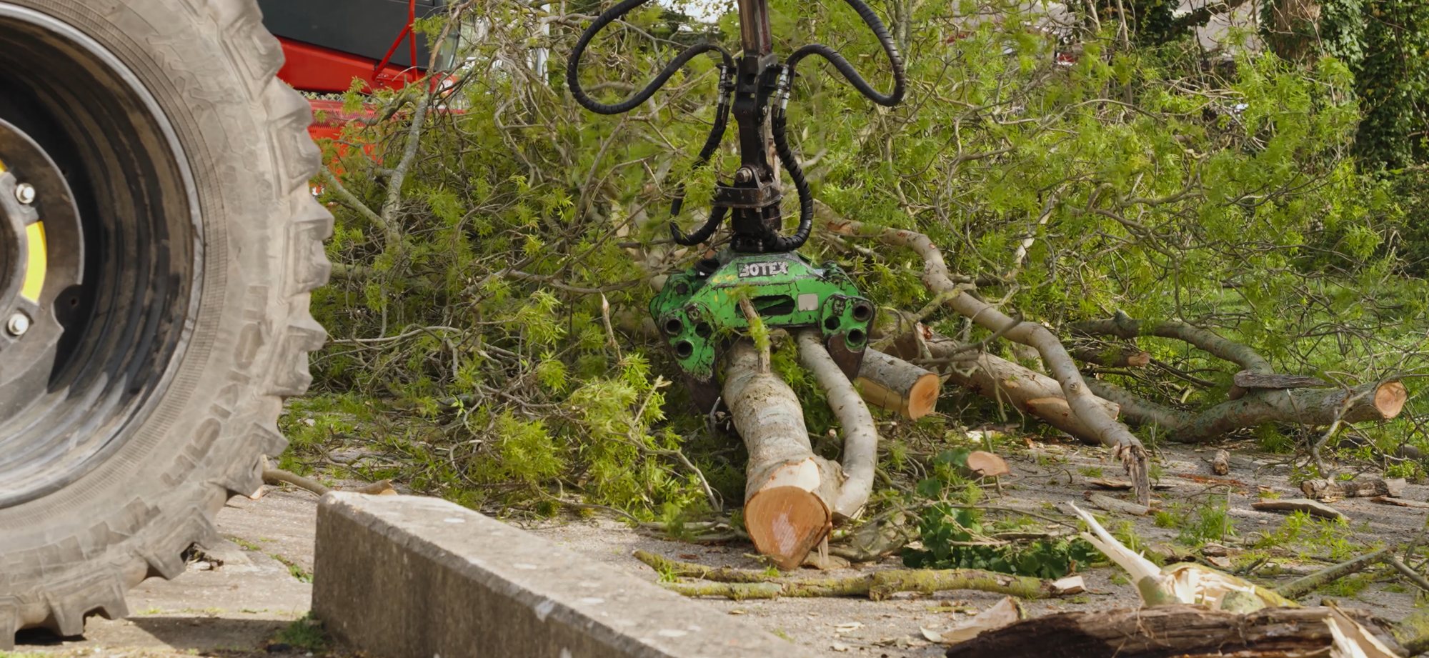 Tree felling and sectional dismantling — Treetex