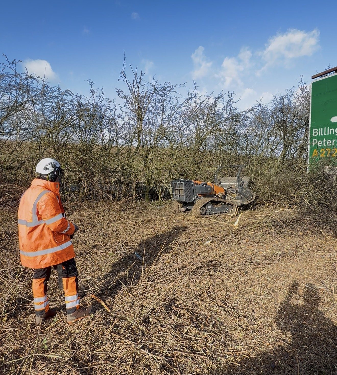 Treetex specialist arboriculture